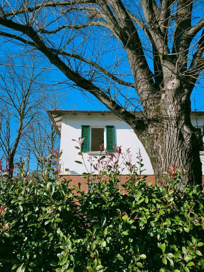 Il Tiglio B&B Dozza Ngoại thất bức ảnh